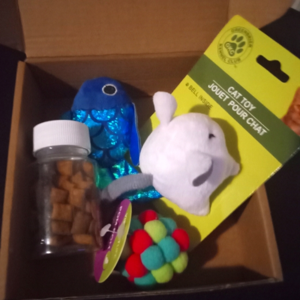 Cat toys: mouse, ball, fish and a bottle of kitty treats😺😺😺😺